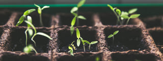 Why Our Face Wash For Women and Men Is Born In Happy Dirt