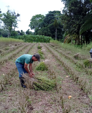 From Our Farms, To Your Face: Why Regenerative Agriculture Impacts So Much More Than The Environment
